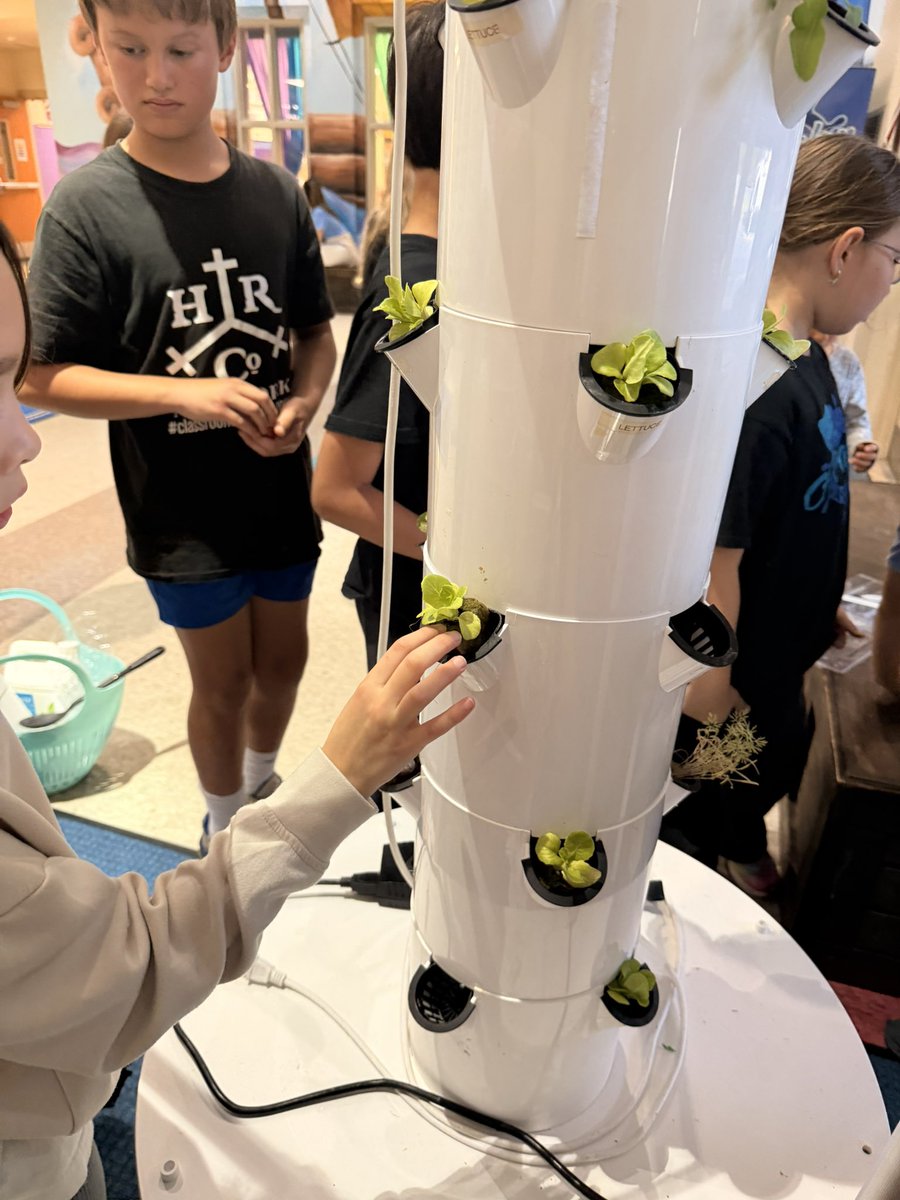 AvalonElem_OCPS's tweet photo. Your students may notice Vertie, our Tower Garden, at the main entrance. Garden Club filled it with water, balanced its pH levels and planted lettuce, bok choy, lavender and kale. It'll be ready to enjoy after Christmas break! #ocpsgreen #alwaysgrowing #WeAreAvalon https://t.co/WpKu1shOoh