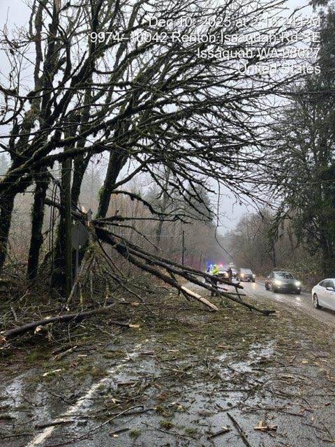 wsdot_traffic's tweet image. SR 900 near Tibbetts Creek just south of Issaquah (MP  is fully blocked in both directions due to downed power lines.

Expect delays in this area @cityofissaquah