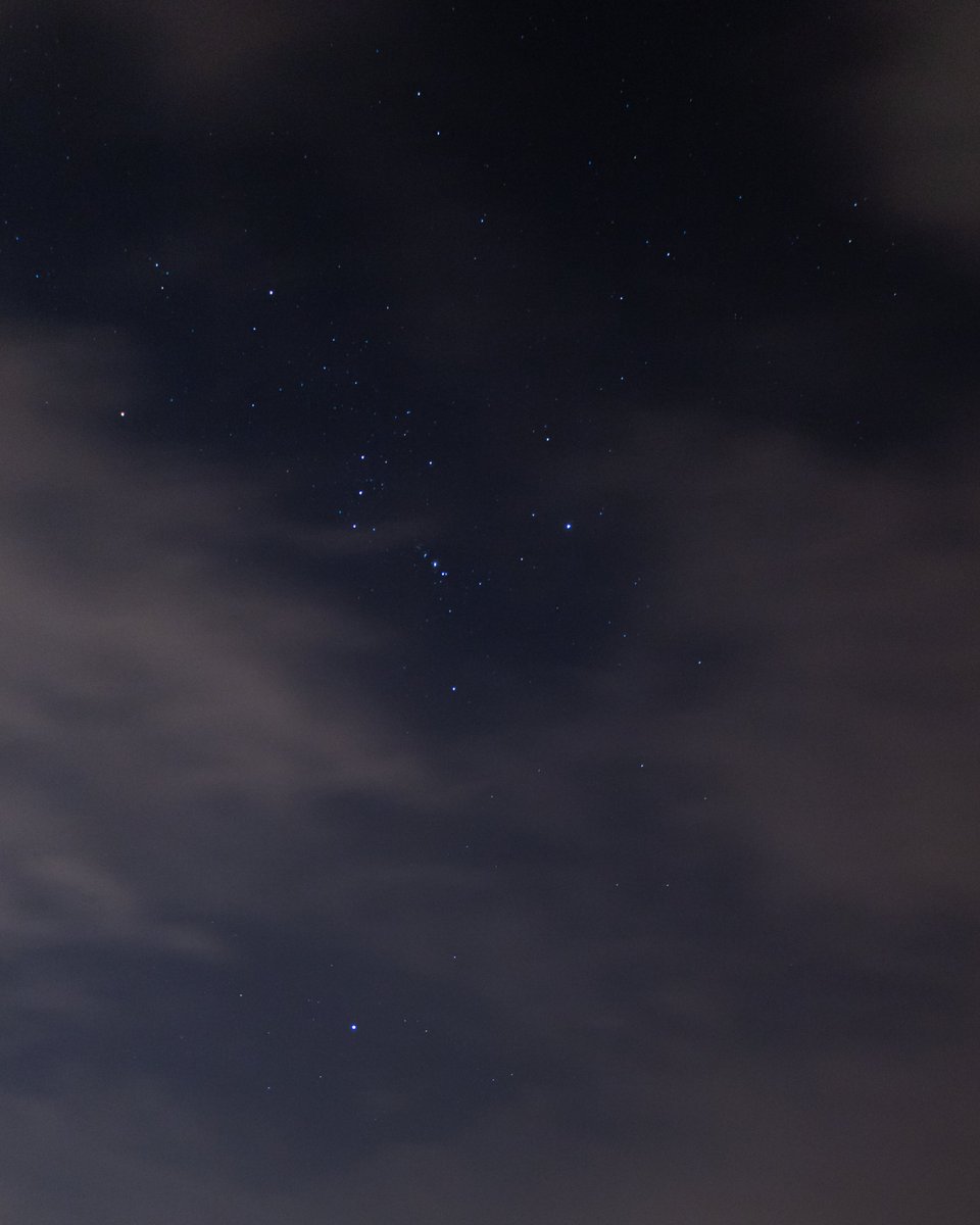 Orion and Sirius ⭐️🌟