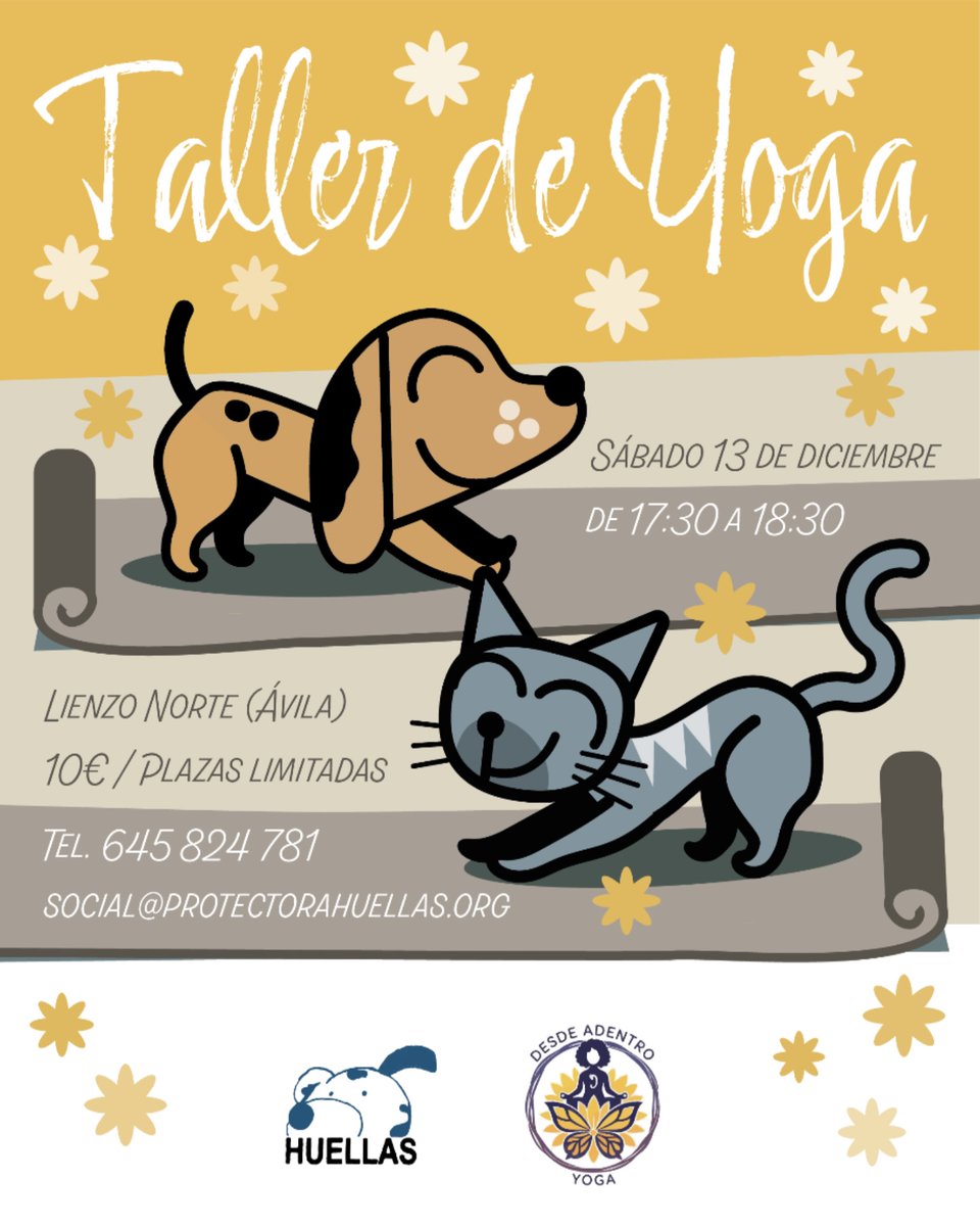 Huellas Protectora (@huellasavila) on Twitter photo 