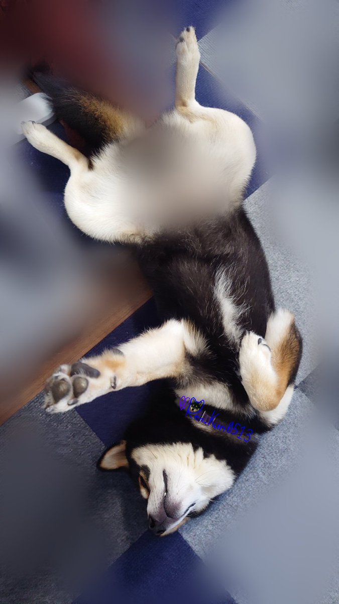 スマイル～～～