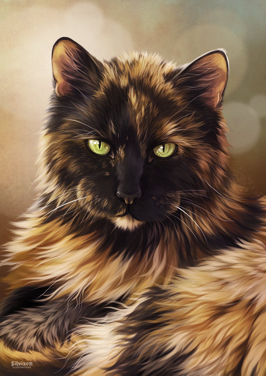 Elizabeth for Tailnoms