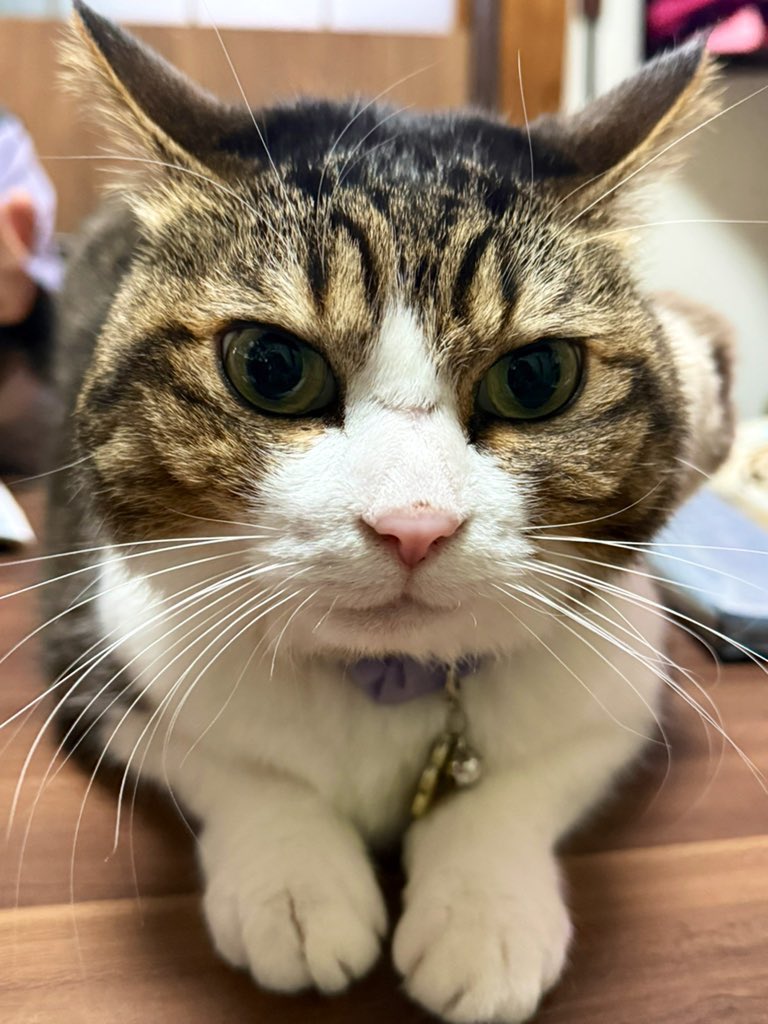 パリピア😻✨ (@NW6hX5NzGOqMVAw) / Posts / X