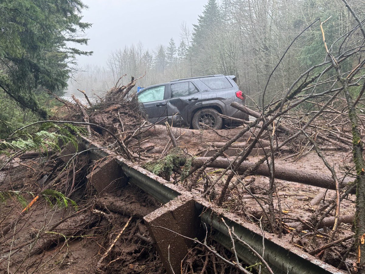 wspd2pio's tweet image. And one more picture.