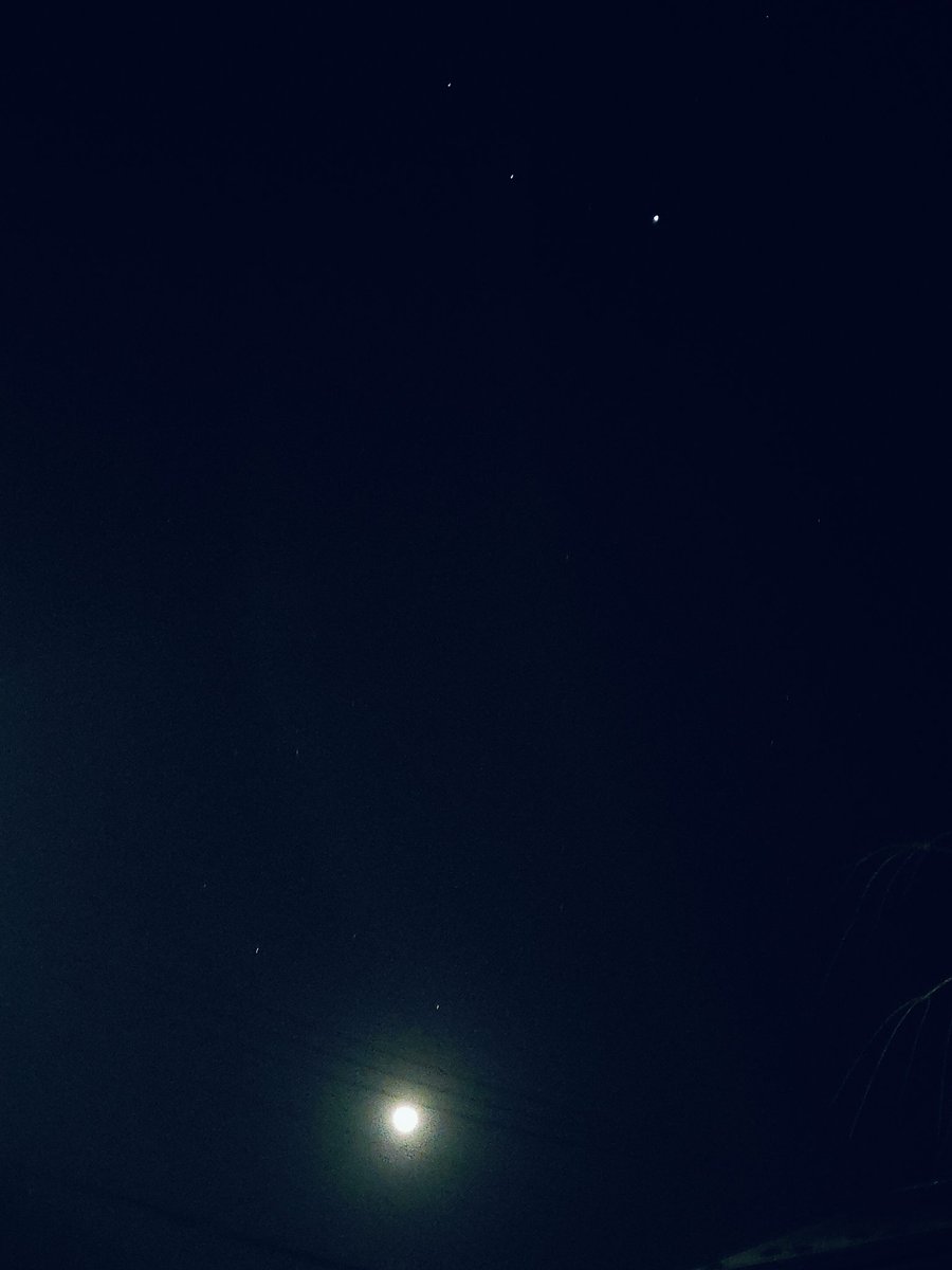 シンプルに「夜空」だ！ 月の高さや方向が季節よね