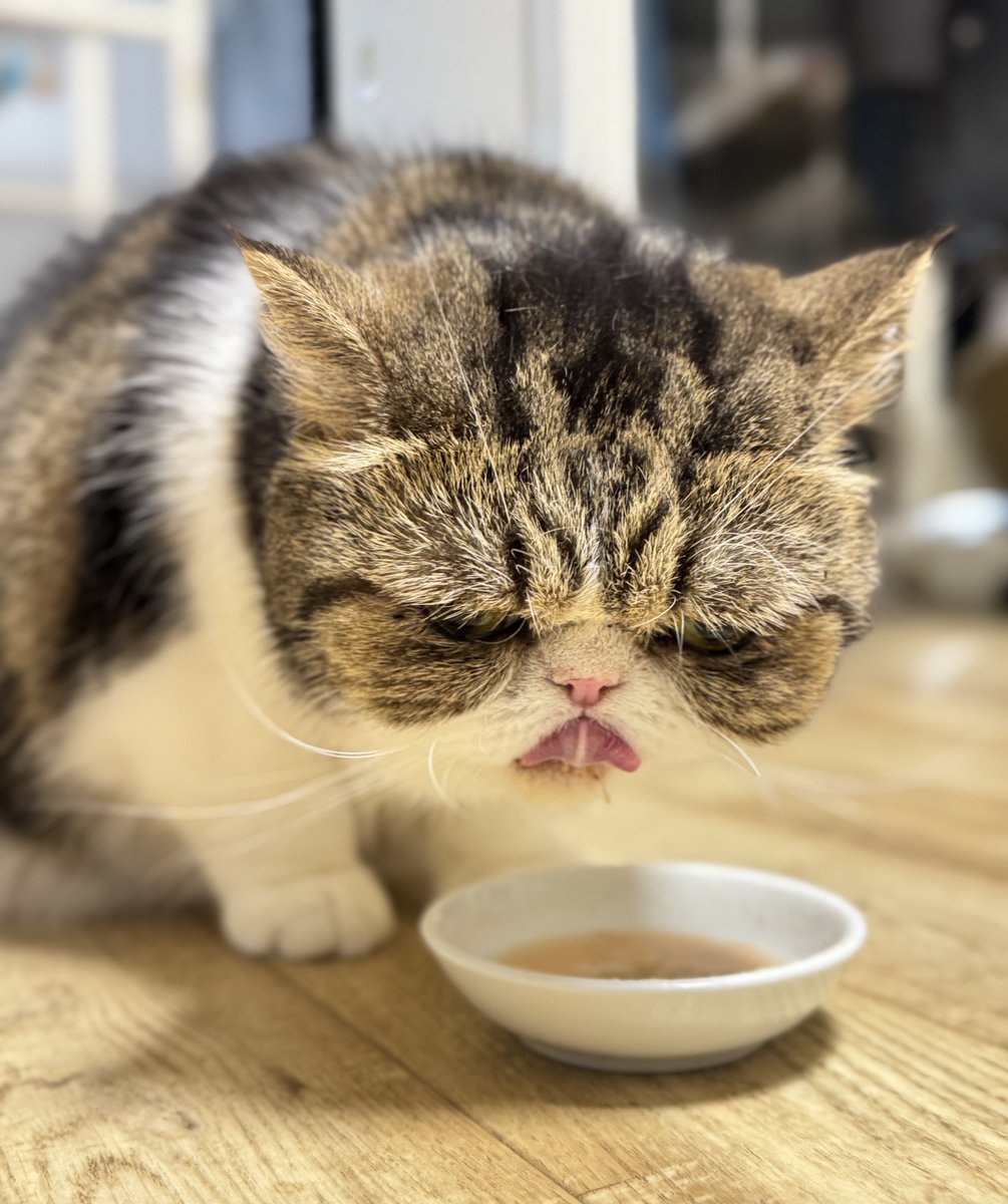 猫蟹丸@3月まで確定分埋まりました、シフト出たら調整出来ます