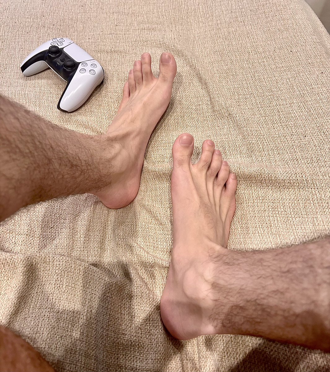 gatinhopsspss's tweet image. 🎮