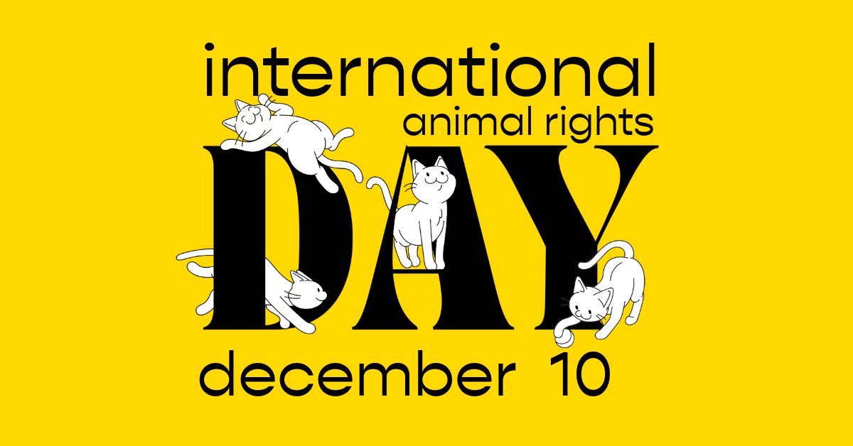 Dr. Elsey's tweet media