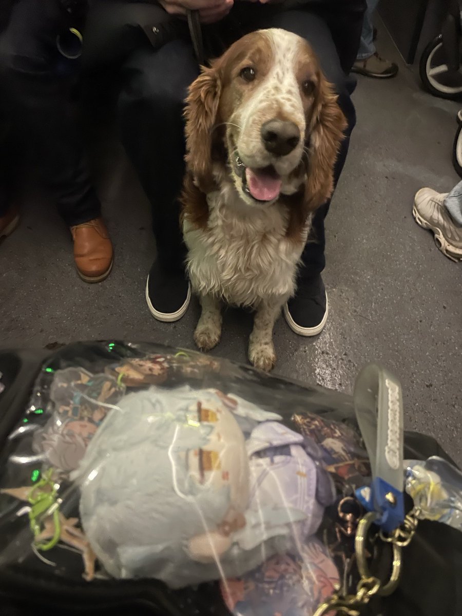 He was staring at Sunday with the biggest smile the entire bus trip home