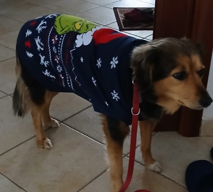 sunny 💭 ֺ ָ ֙⋆ tweet media