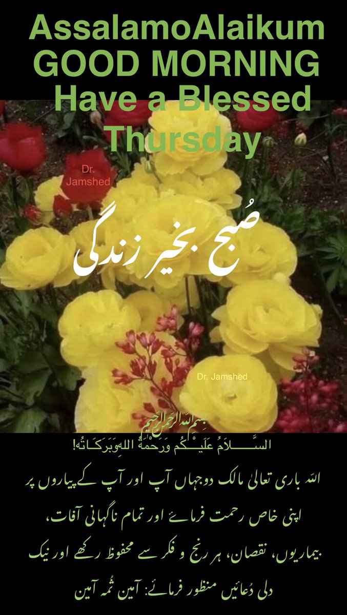 JamshedUSA's tweet image. 🌺    Assalam   O   Alaikum    🌺. 

🌹   Good Morning“X”Family  🌹

 🌺 Have a blessed Thursday 🌺

 (  Like + Rt = Follow Back  )   💯