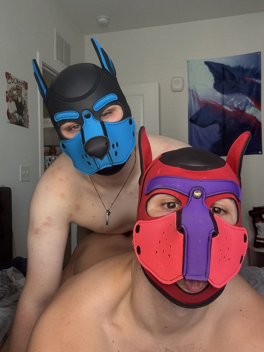 thescarletpup's tweet photo. Happy birthday @BlueSplashpawAD thanks for letting me be your big bro 🎂 https://t.co/LjkkVexV4a