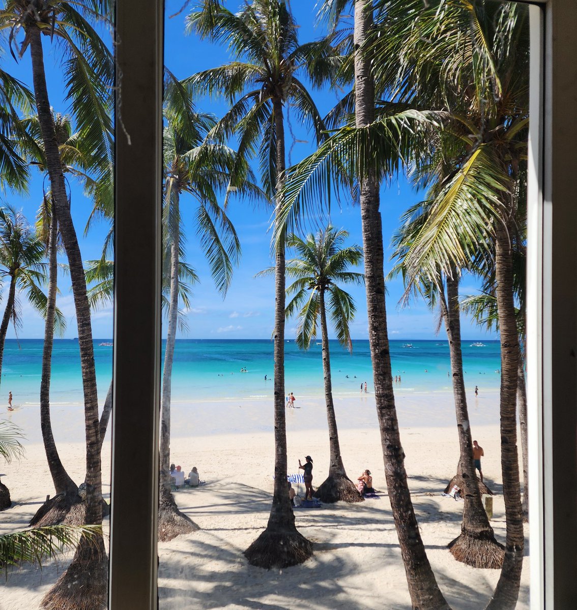 TFX Trades tweet media