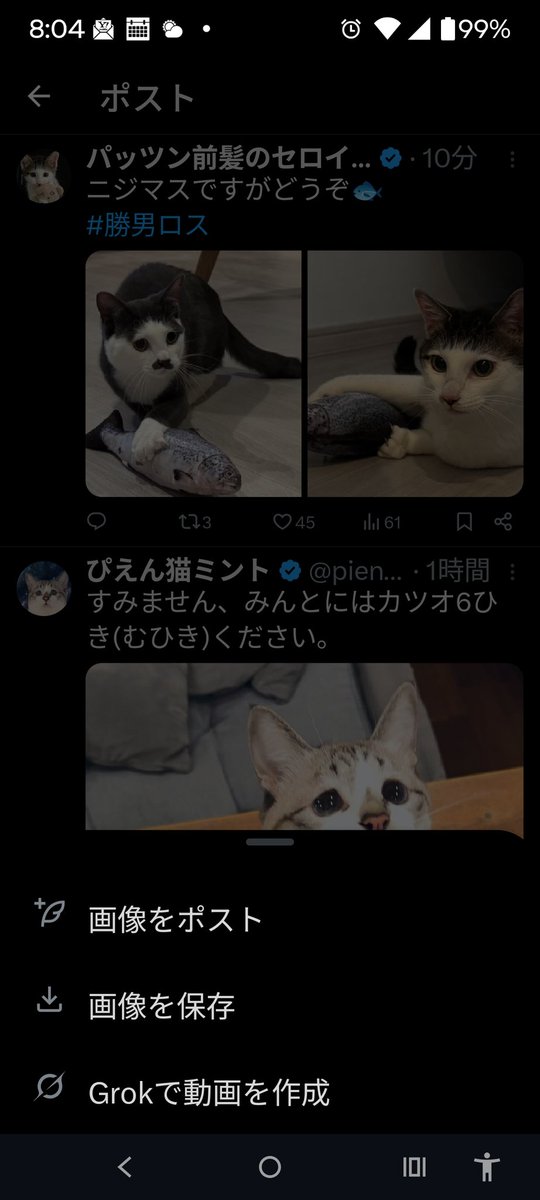 ぴえん猫ミント (@piennekomint) / Posts and Replies / X