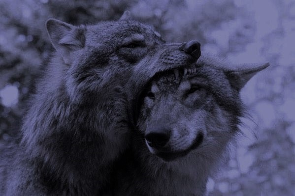 ✞ 🗝️ (@hakaelll) on Twitter photo 