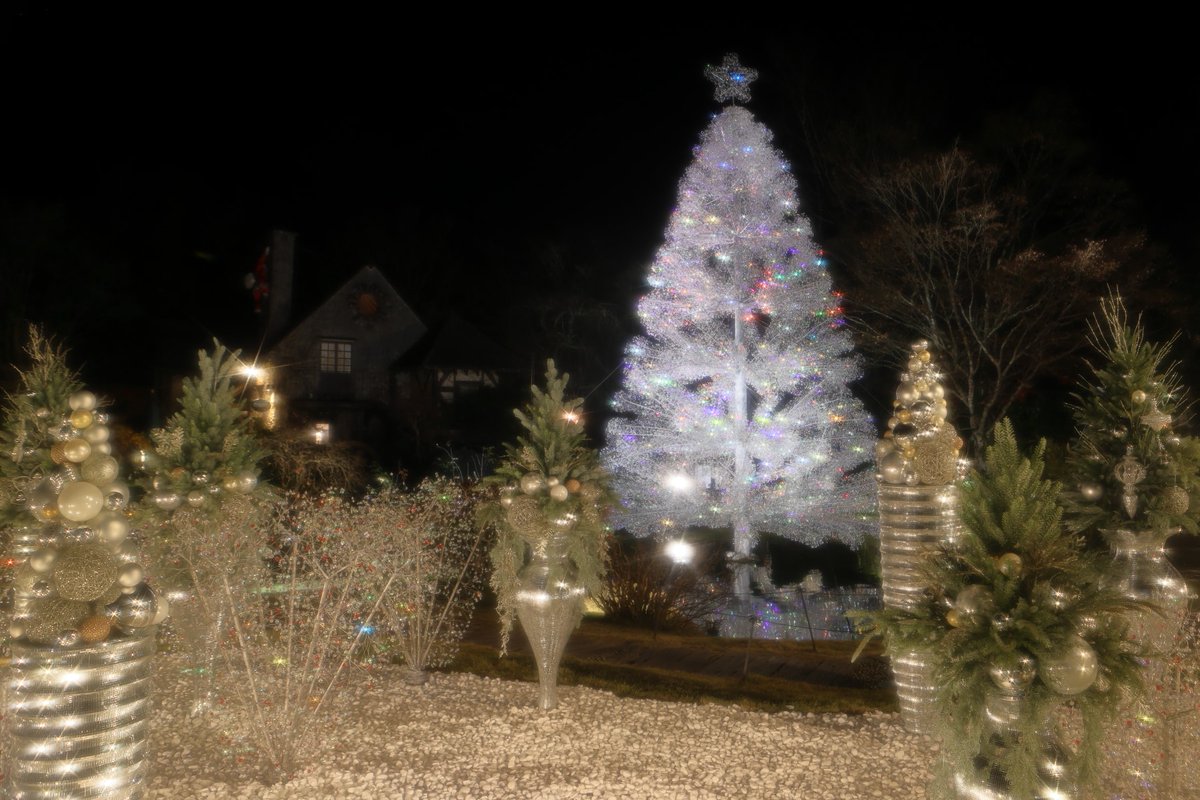 【廃盤品】スワロフスキー　クリスタルガラス　クリスマスツリー　もみの木 廃盤品】スワロフスキー クリスタルガラス クリスマスツリー もみの木