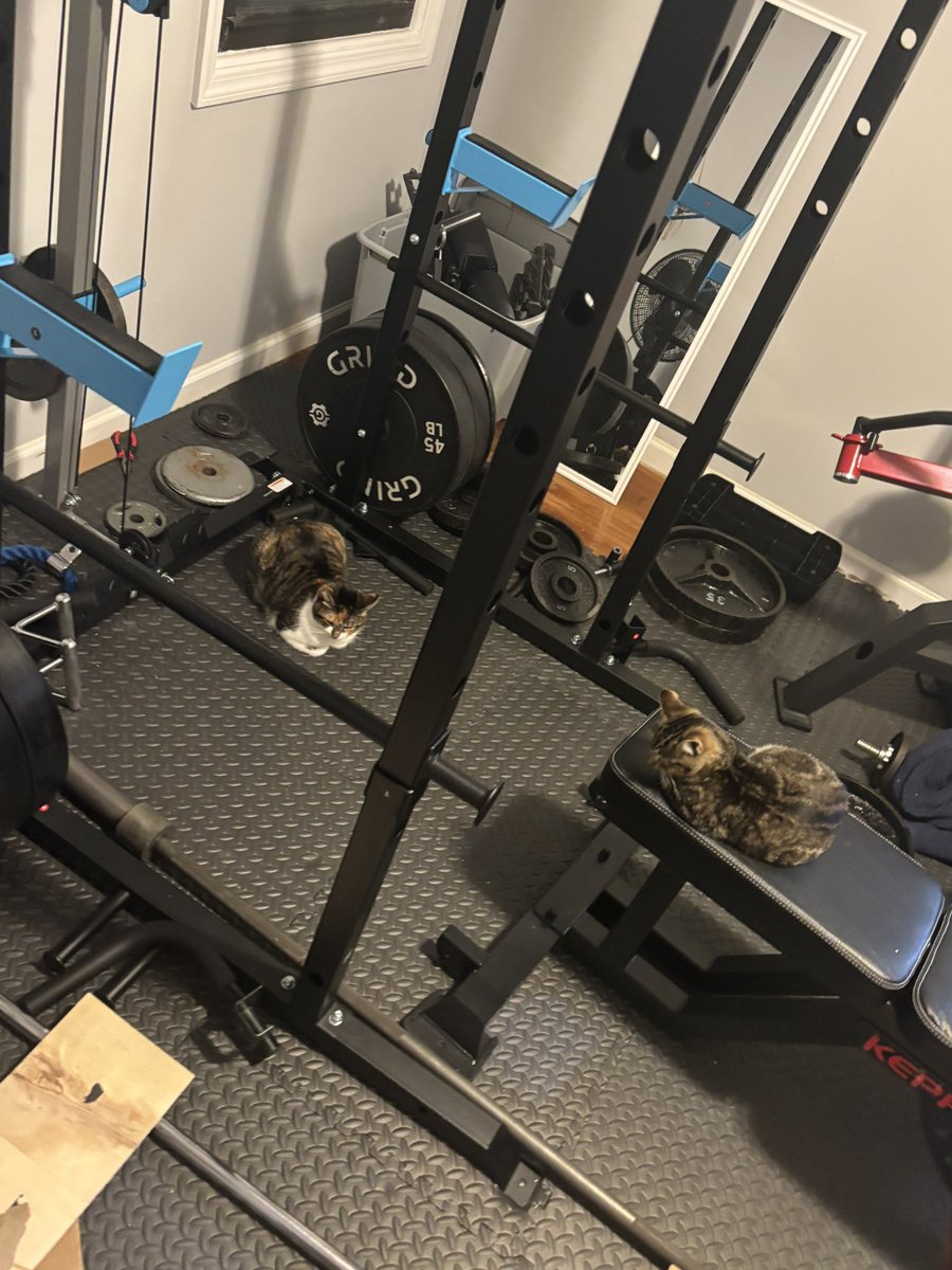 Blossum is spotting for Jack Jones