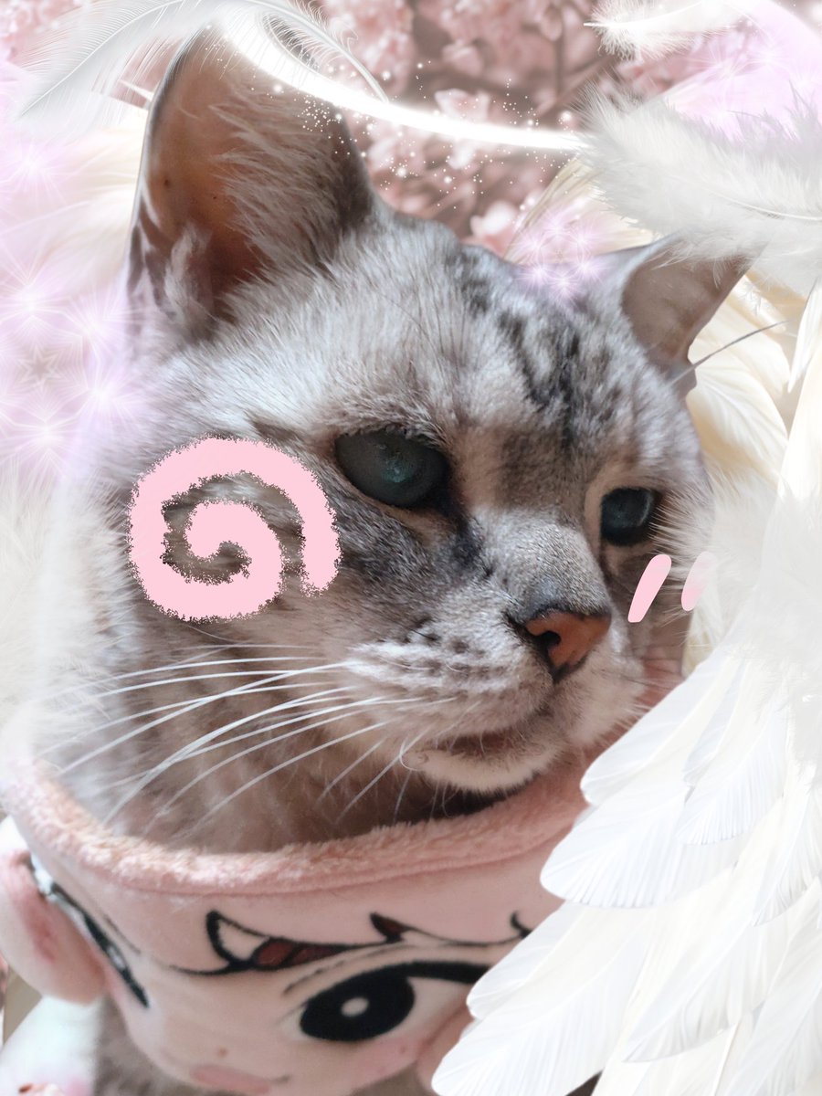 1,4 bd【110634.com】.zor