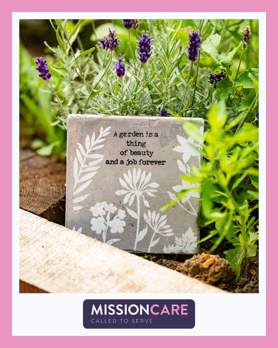 Mission Care tweet media