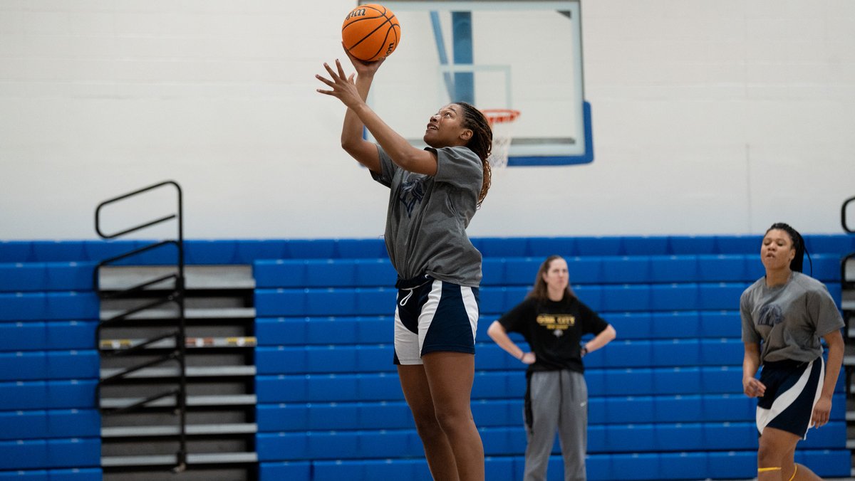 New Haven Women's Basketball tweet media