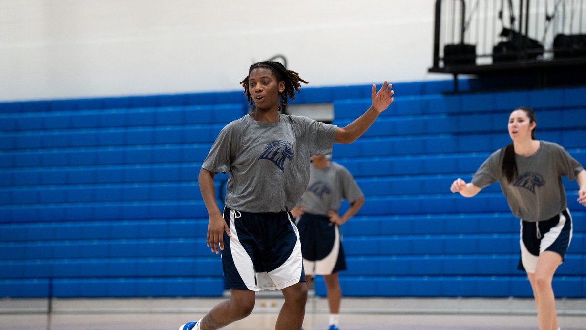 New Haven Women's Basketball tweet media