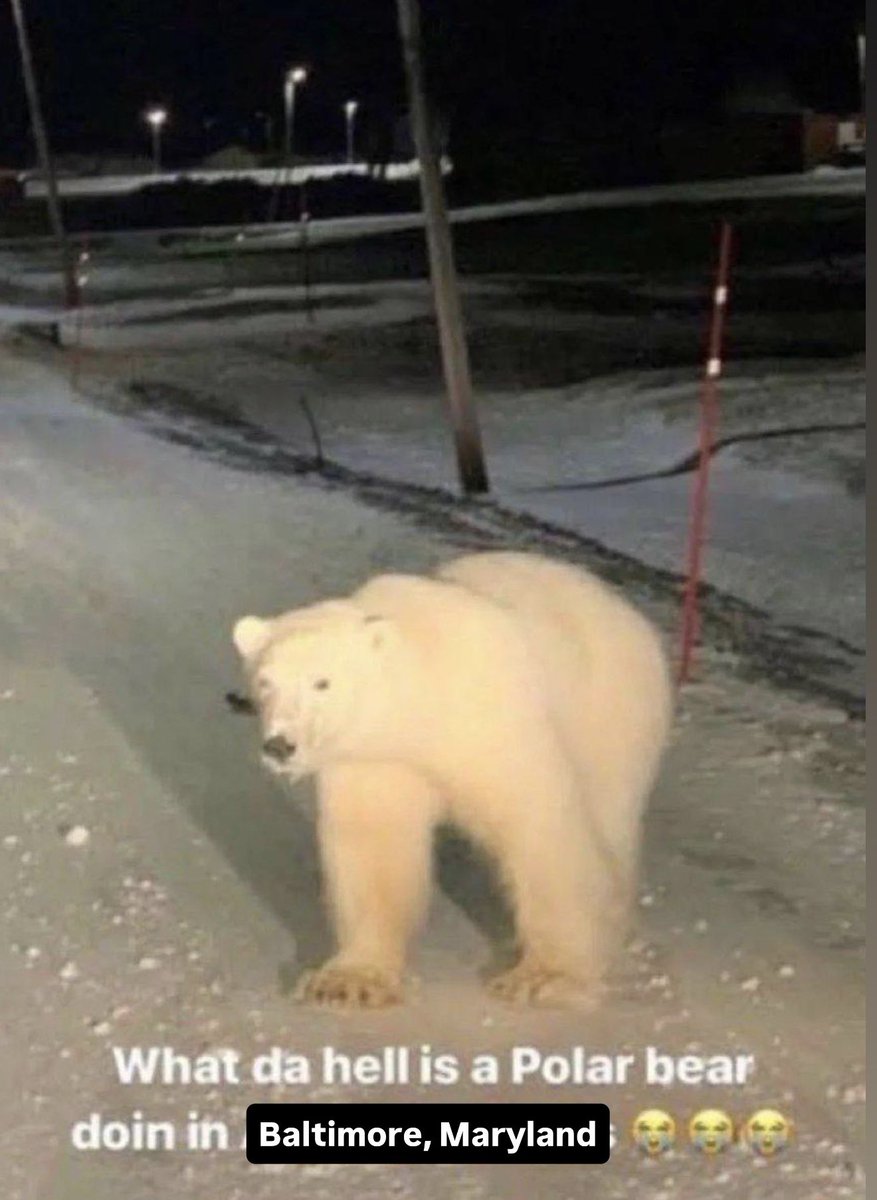Binghamton Rumble Ponies (@rumbleponiesbb) on Twitter photo 