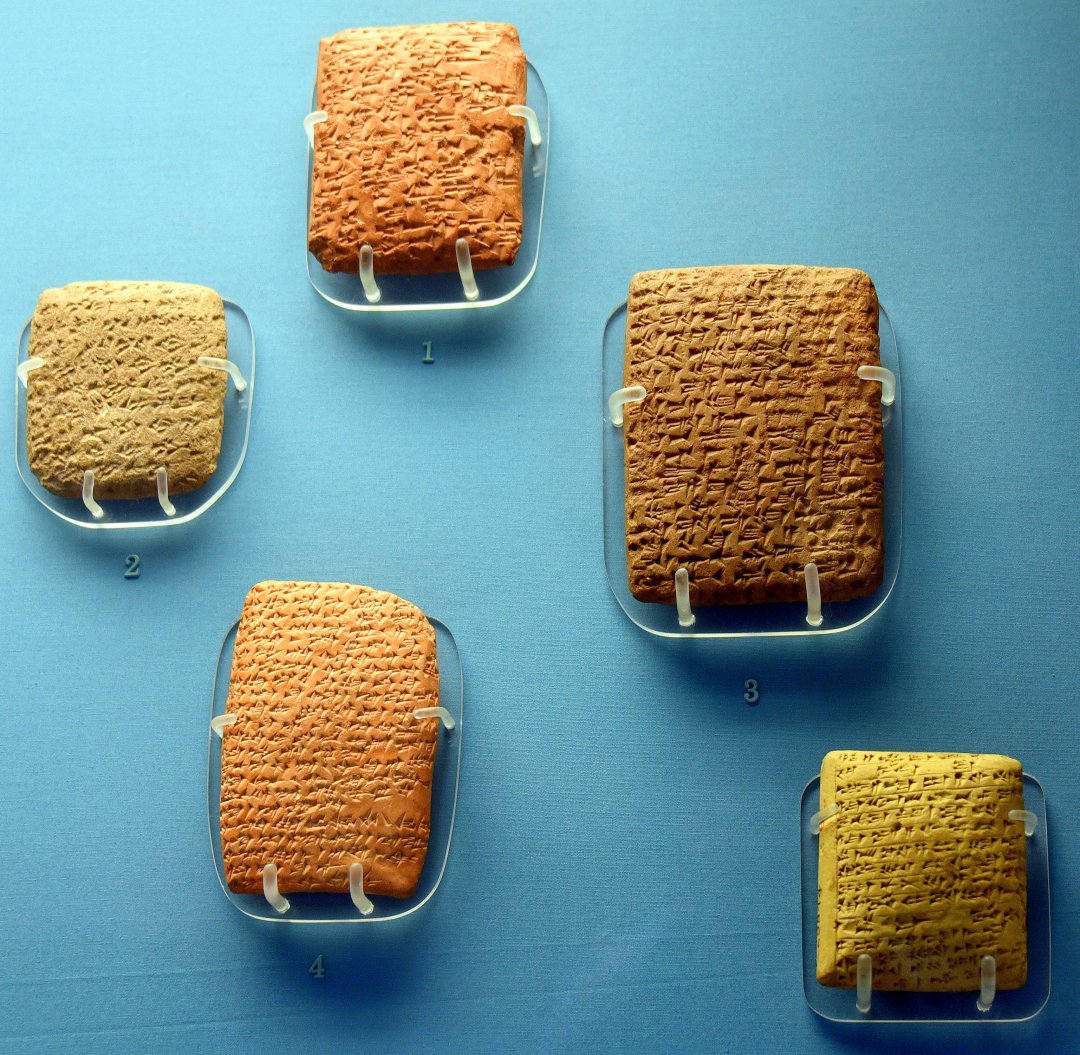 The Bible and Interpretation tweet media