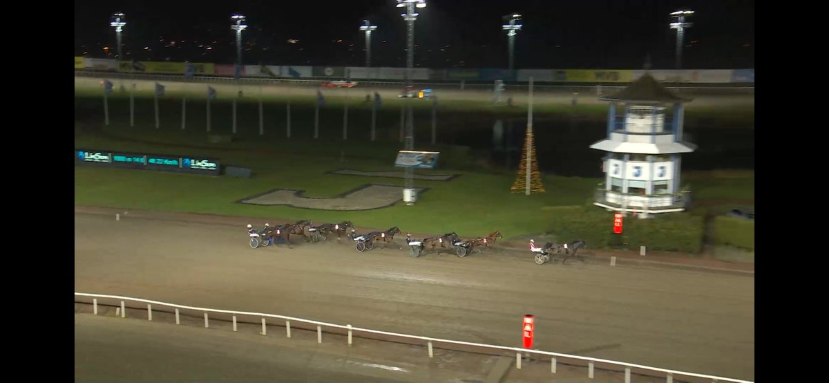 Chuette21's tweet photo. Taurus Crown! 🥇😃 https://t.co/LNnGd9PWdM