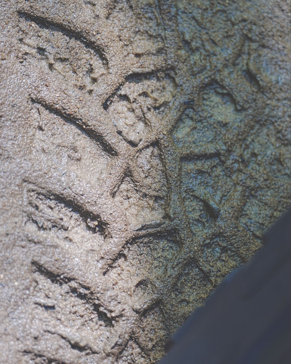 General Tire tweet media