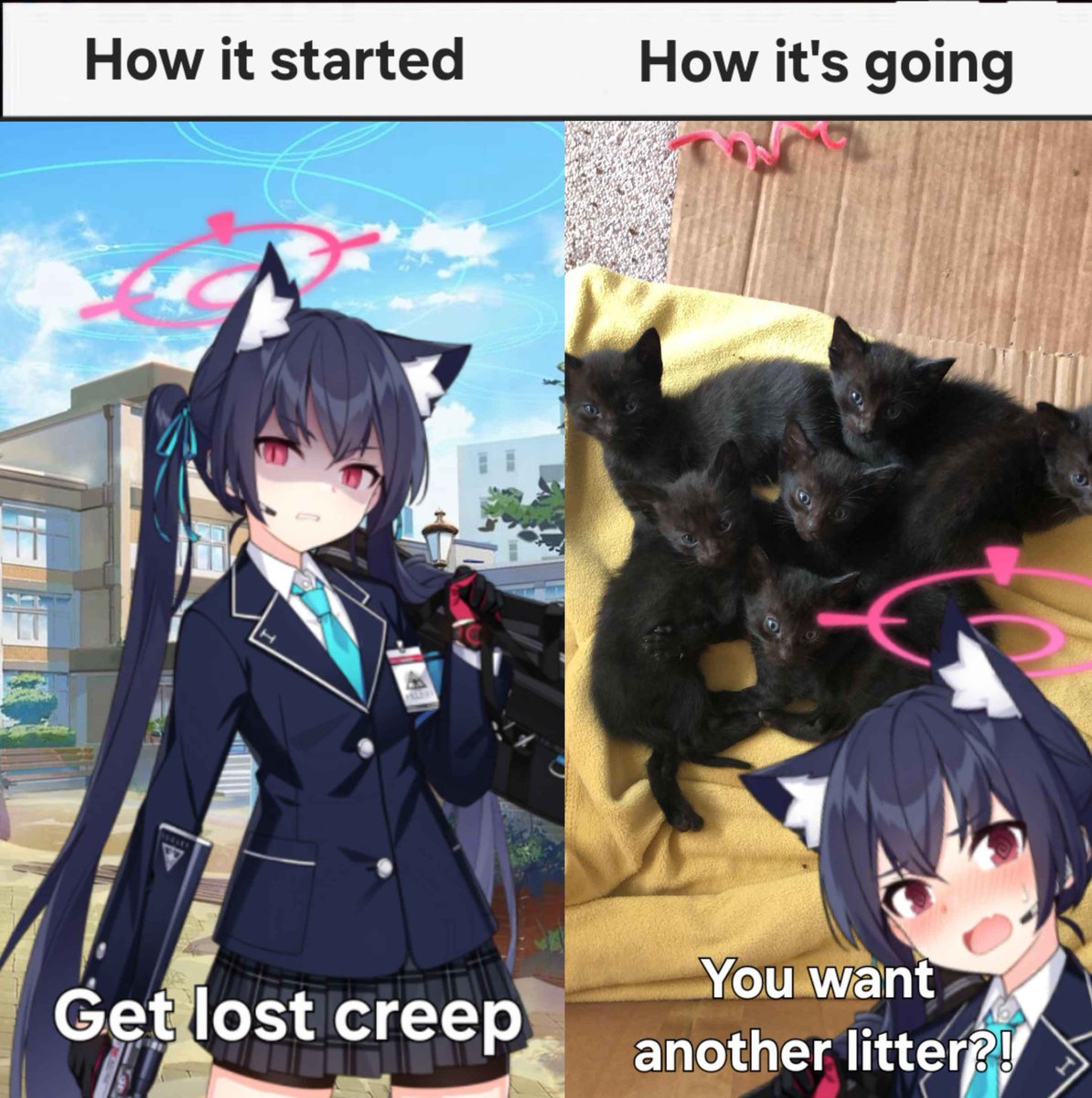 CryingEmojiman's tweet image. 