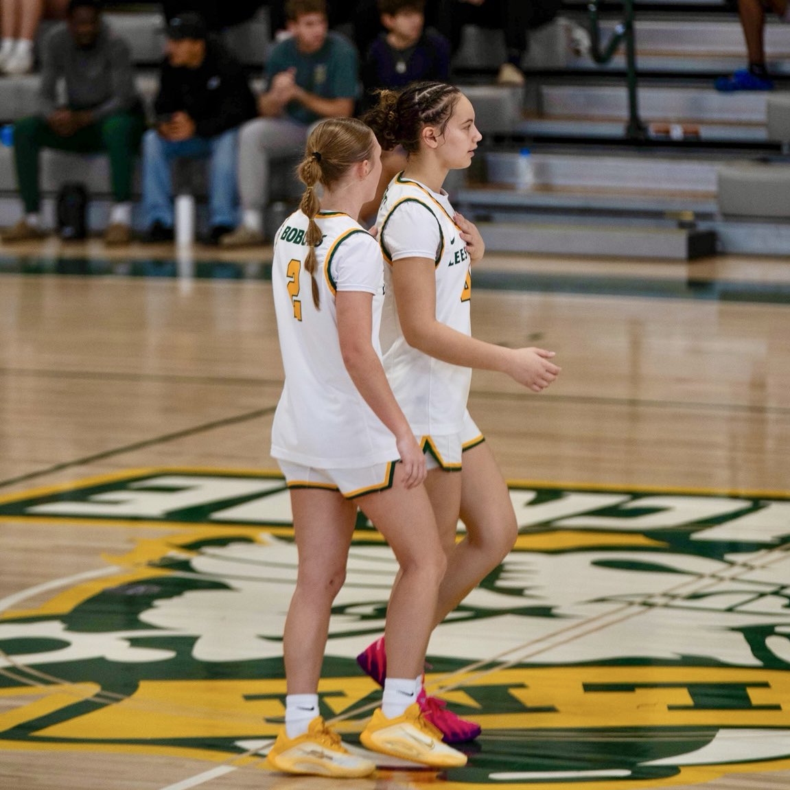 Lees-McRae Women’s Basketball tweet media