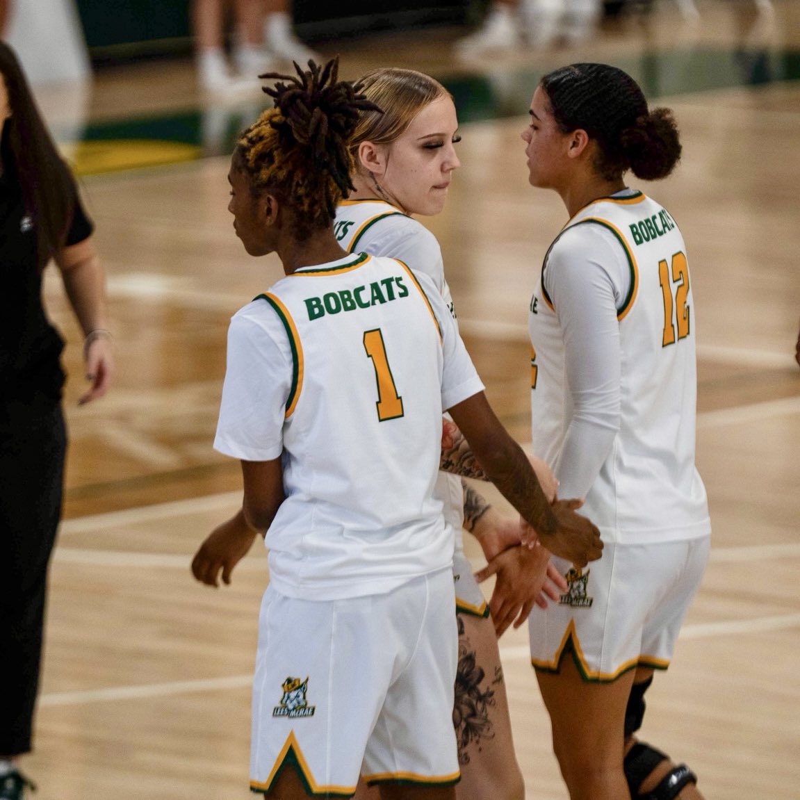 Lees-McRae Women’s Basketball tweet media