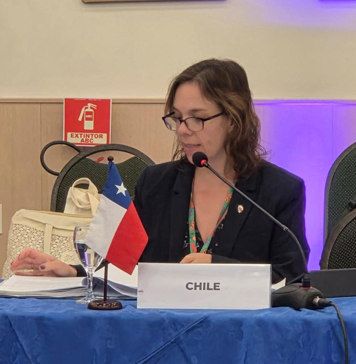 Embajada de Chile en Brasil tweet media