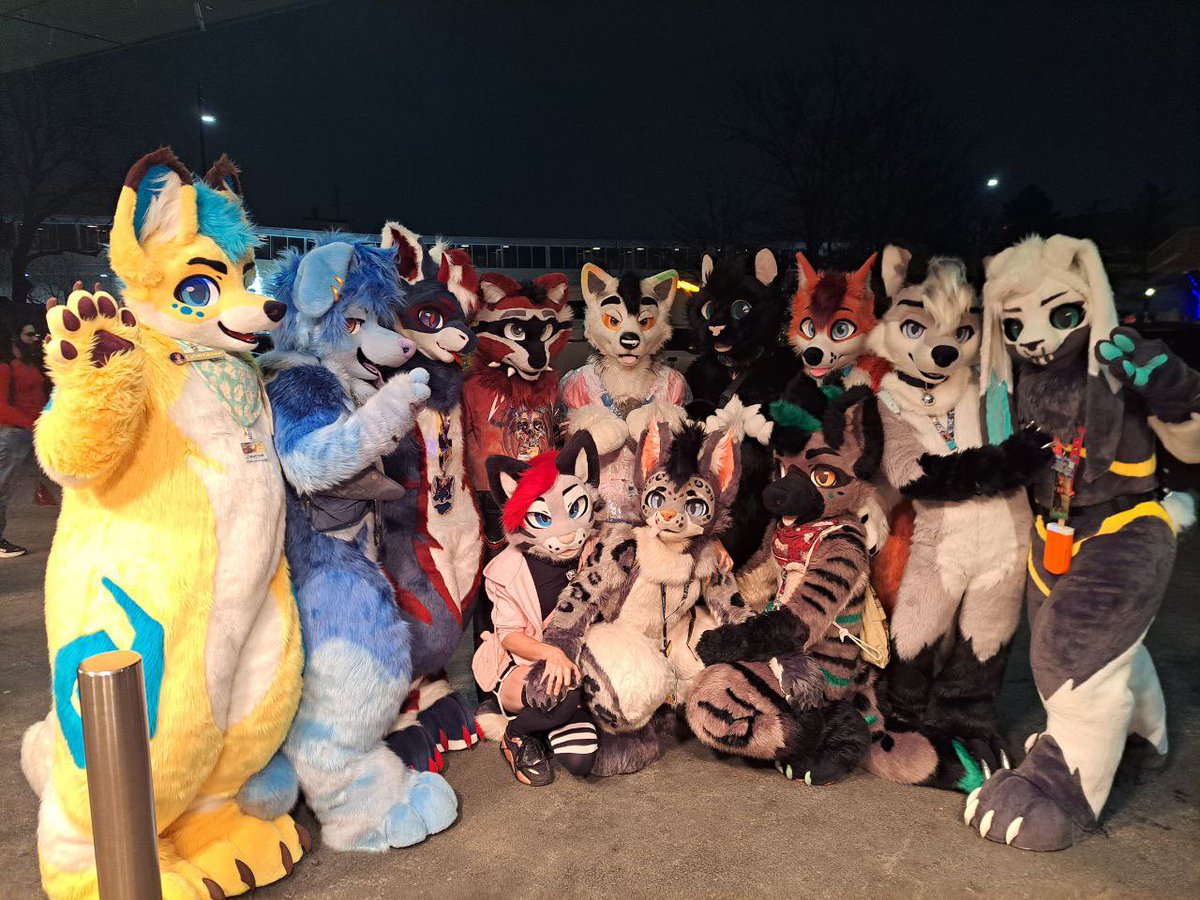 Soju cat ➔ CFZ, Awoostria tweet media