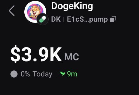 Tuffmemecoins's tweet photo. Quick update: The current market cap showing on $DogeKing is autogenerated by the platform. It’s not from real buyer money yet  just the default launch math.
Once trading starts and real buys come in, the market cap will adjust normally. Transparency first 🐶👑✨ $DK https://t.co/vYdsFEF6PH