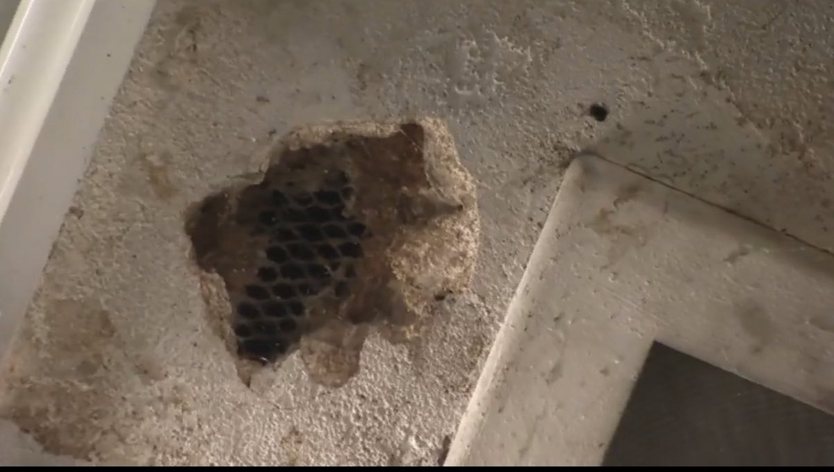 Samantha Kummerer tweet media