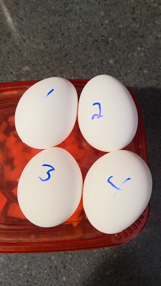 JohnHousekeys's tweet photo. Egg ma gedeon! The gladiator style breakfast we can all get behind. Survival of the fittest. Which one will survive the 18 pack and be the strongest and hardest egg to crack? https://t.co/Bt9VuAW5OC
