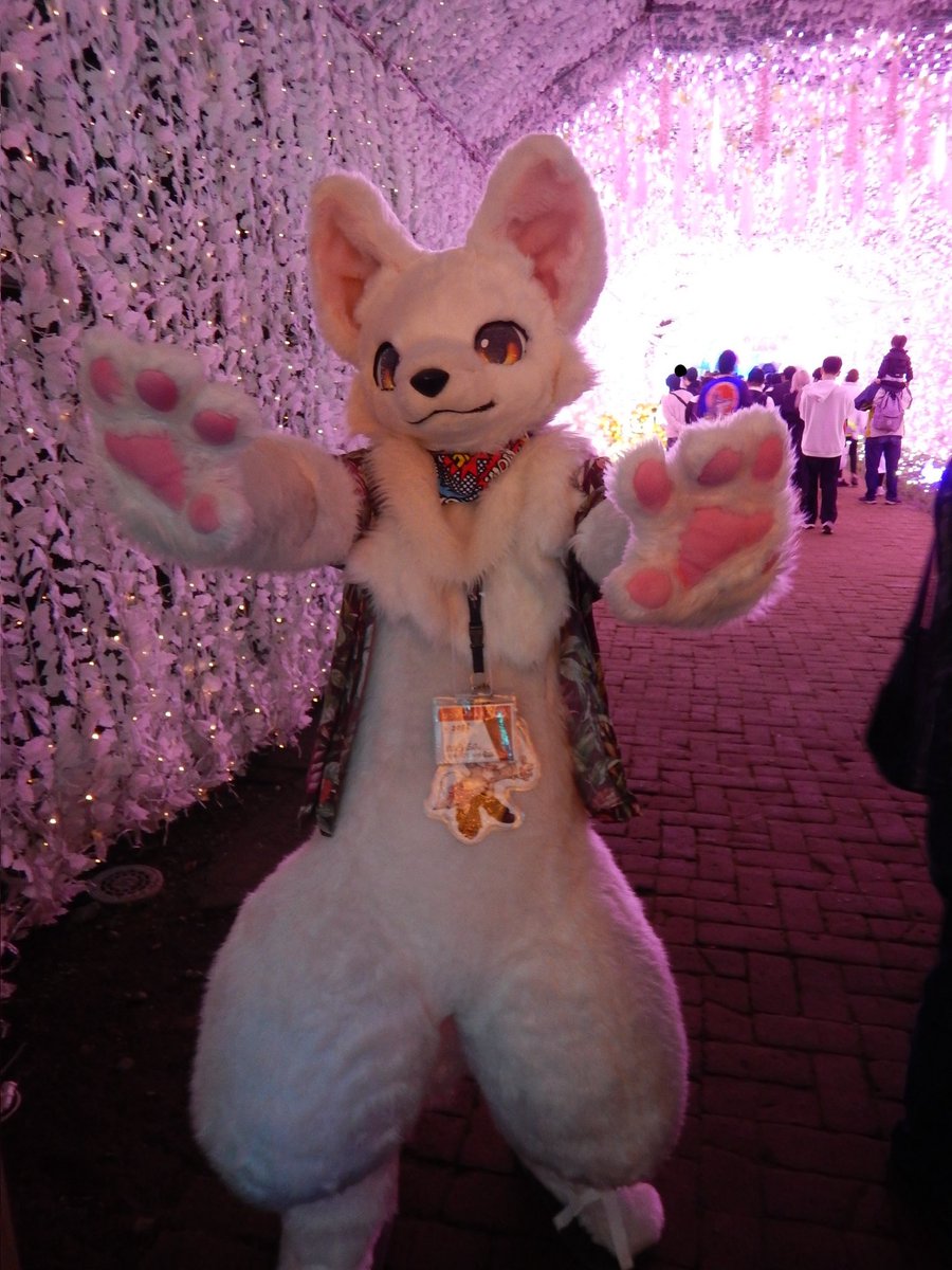 ケモコンでは純くんに会えて嬉しかった
#Kemocon18