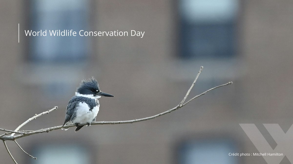 WalkerTextures tweet media