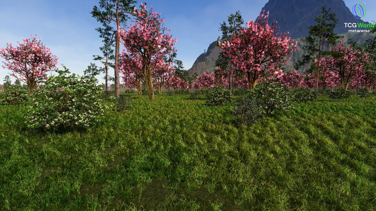 Sakura Valley has everything. 🌸
Space Port 🚀. Volcano 🔥. Aifos’ birthplace 🐉.

Race tracks 🏎️, battle arenas ⚔️, an amusement park 🎢 and attractions everywhere you look.

And more Sprites roaming the region than anywhere else. ✨