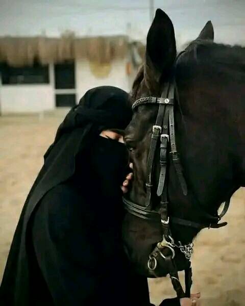 كنتُ أنوي الحديث معه عن الحواجز والفجوات التي وضعت بيننا
كنتُ سأسمع له ولأعذاره لكنني
رأيتُ في عينه اللامبالاة والقسوه فكيف أتشبث بشخص يبحث عن فرصه للرحيلمن ندبةٍ في الروحِ يصرخ خافقي
وتذوبُ في مجرى الهواء رفاتي
عند اختناقِ البوحِ أركضُ هاربه
وأجرُّ  خلفَ النورِ سطرَ