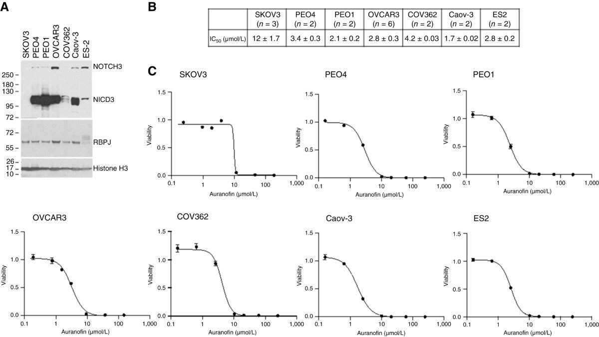 CRC_AACR's tweet photo. ICYMI: #Auranofin Synergizes with #Cisplatin in Reducing Tumor Burden of Notch-Dependent #OvarianCancer https://t.co/EQtFK0IV1c
#Notch3 #OpenAccess https://t.co/M4mjBkxCei