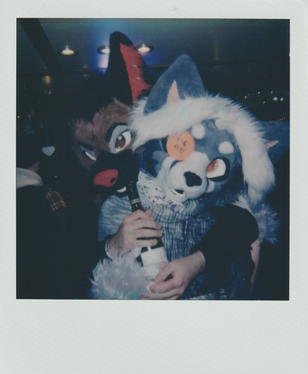 ConnorShibe's tweet image. hello gay people it is the end of the year and that means its time for some moody polaroids of creatures at @LondonFurs WinterParty! connorshibe.gay/photos/2025/LF…
