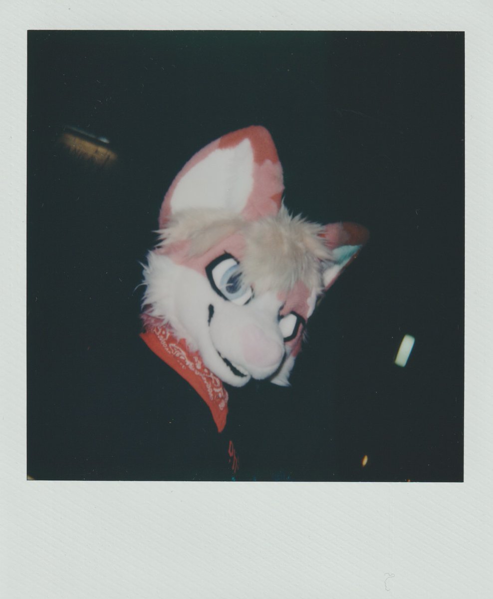 ConnorShibe's tweet image. hello gay people it is the end of the year and that means its time for some moody polaroids of creatures at @LondonFurs WinterParty! connorshibe.gay/photos/2025/LF…