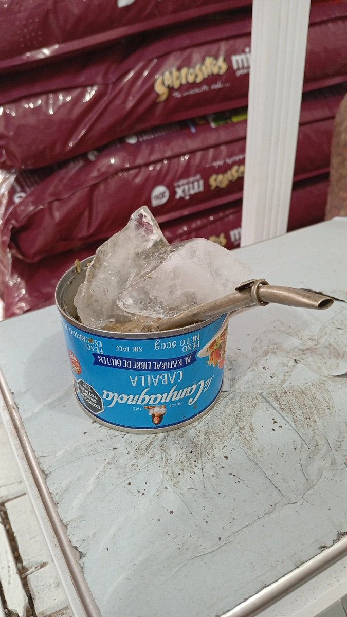 1itllj's tweet photo. Pintaronnn esoss teres 🤙🏼 https://t.co/SPGoqwc2ax