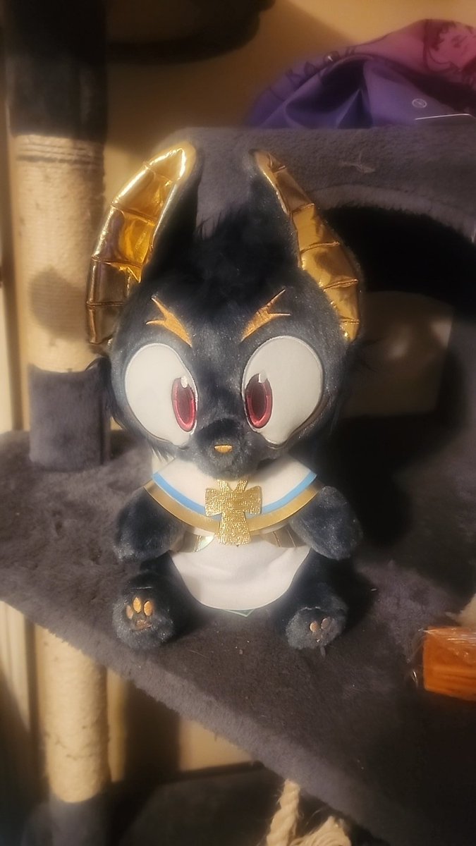 Joseph110899's tweet image. @silverfox5213 he's here