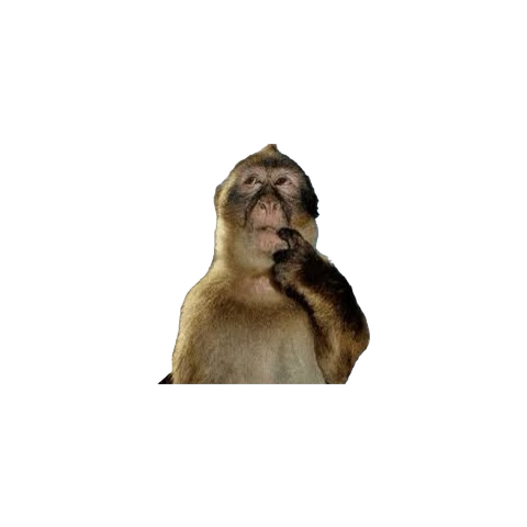 anishaakumar's tweet photo. @jamescryptoCPA this is my favorite crypto hack tbh https://t.co/D98c06tcPM