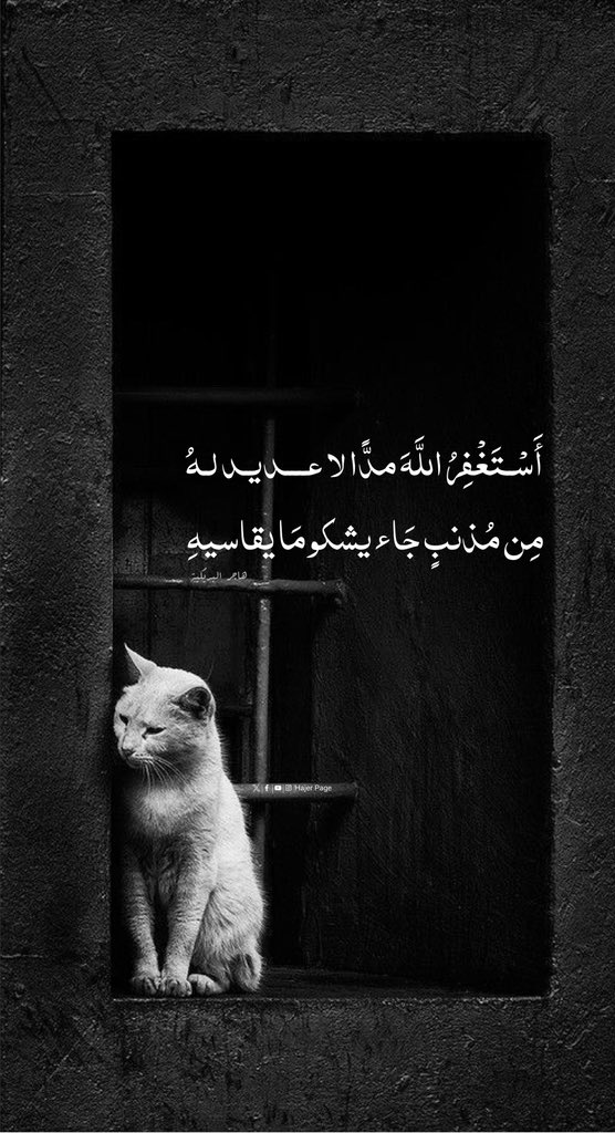 هاجرالبريكي tweet media