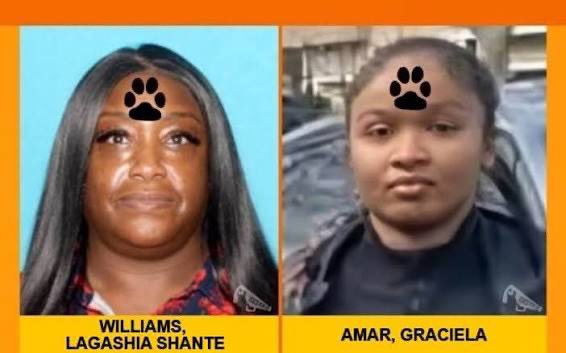 The Facts Dude 🤙🏽 tweet media