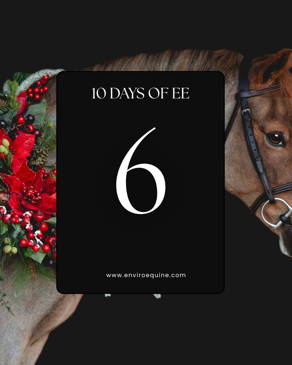 EnviroEquine's tweet photo. Day 6 of 10 Days of EE is here… and it’s a big one! ✨

TODAY ONLY: 🎁 Use code HOLIDAY6 for 50% off supplements!

Tag a friend in the comments and DM us your email + phone number for a $$$ special discount code on us! 💰💰 https://t.co/8eppKhEYNO